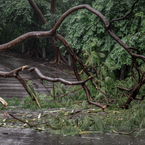 ObstaclesDramas-Blocks-to-Get-Great-Results-Clearing